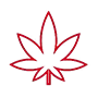 Cannabis Flower
