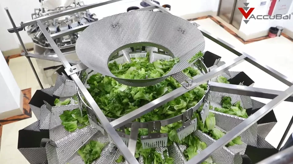 Large Volume 14 Heads Multihead Weigher for Vegetable
